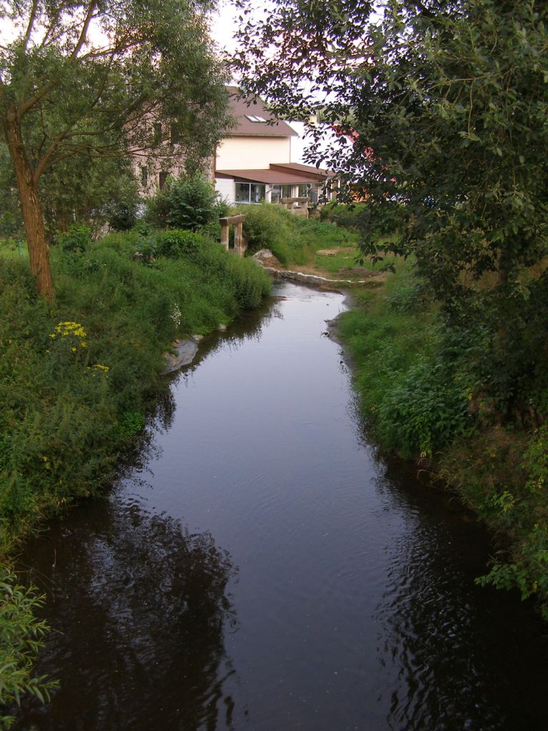 Dvo��k�v ml�n